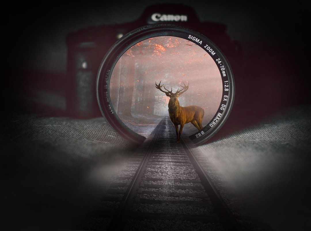 Hcdesports Gaming Guide by Harmonicode