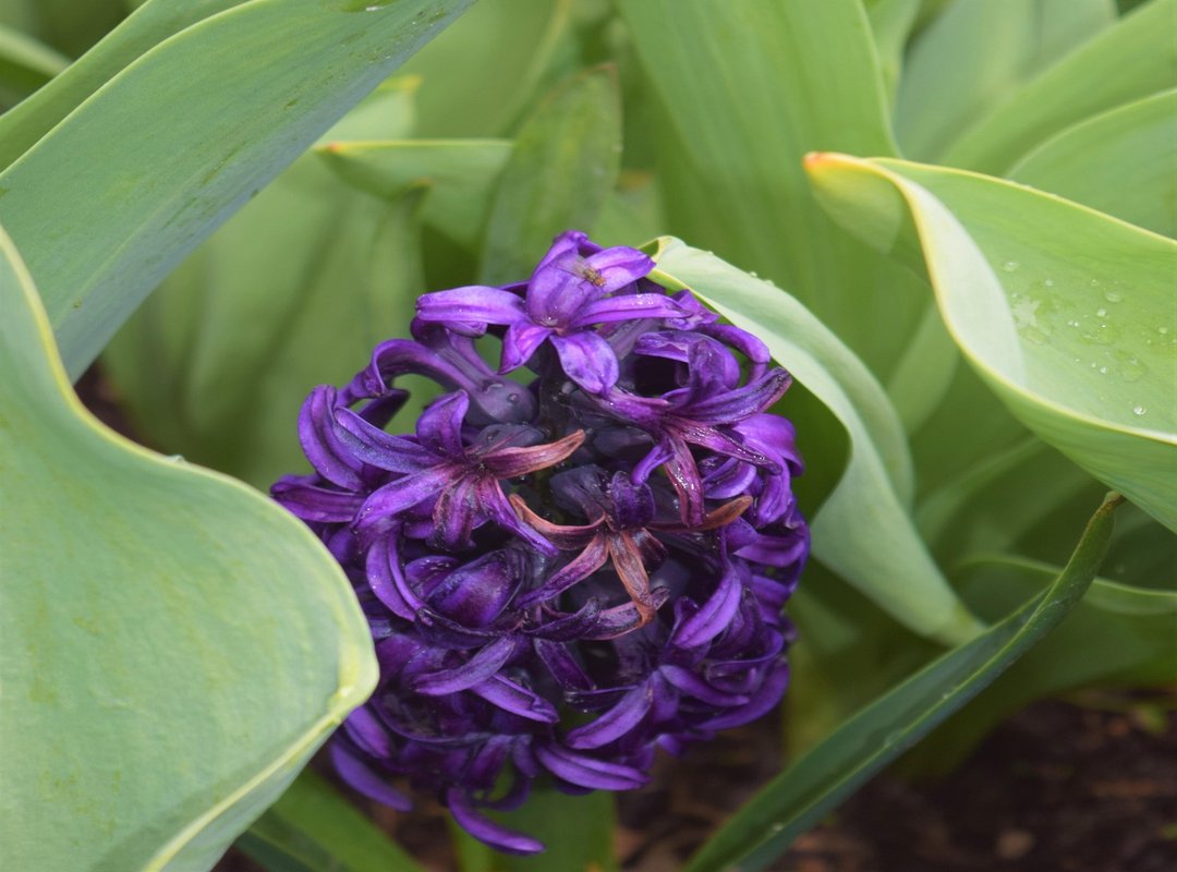 What Are the Popular Esports Games to Play Hcdesports