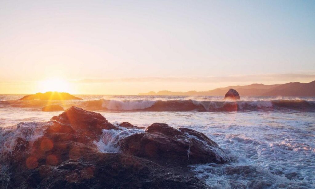 can the game biohunt2000 play with friends