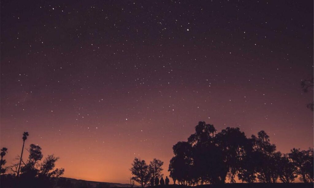 why biohunt2000 game are popular